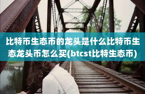 比特币生态币的龙头是什么比特币生态龙头币怎么买(btcst比特生态币)