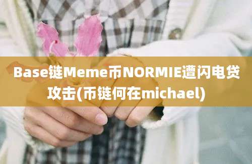 Base链Meme币NORMIE遭闪电贷攻击(币链何在michael)