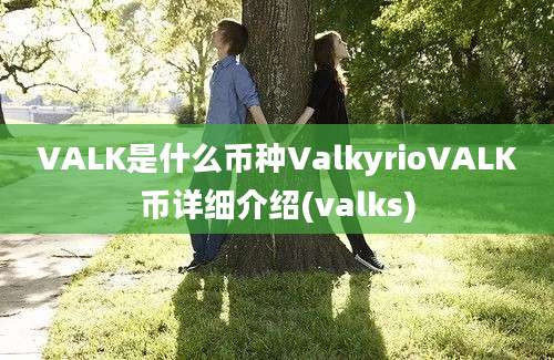 VALK是什么币种ValkyrioVALK币详细介绍(valks)