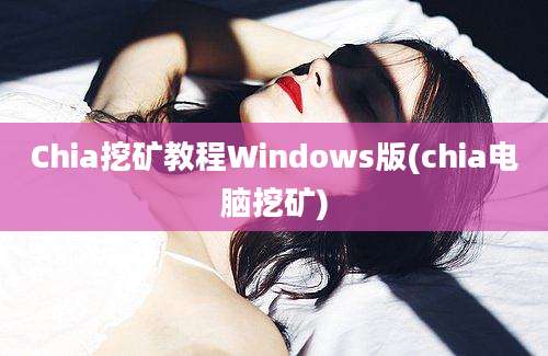 Chia挖矿教程Windows版(chia电脑挖矿)