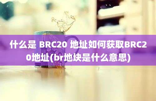 什么是 BRC20 地址如何获取BRC20地址(br地块是什么意思)