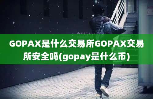 GOPAX是什么交易所GOPAX交易所安全吗(gopay是什么币)