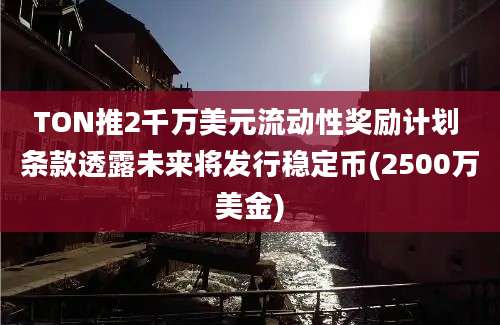 TON推2千万美元流动性奖励计划 条款透露未来将发行稳定币(2500万美金)