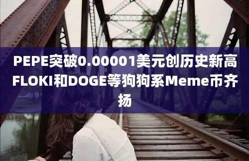 PEPE突破0.00001美元创历史新高FLOKI和DOGE等狗狗系Meme币齐扬