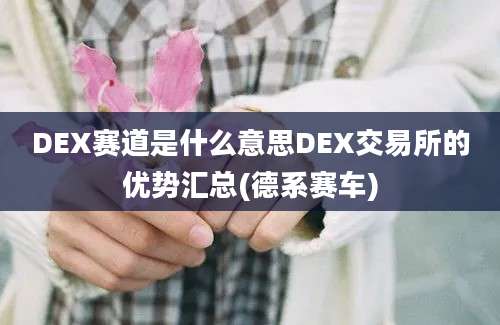 DEX赛道是什么意思DEX交易所的优势汇总(德系赛车)