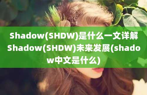 Shadow(SHDW)是什么一文详解Shadow(SHDW)未来发展(shadow中文是什么)