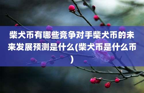 柴犬币有哪些竞争对手柴犬币的未来发展预测是什么(柴犬币是什么币)