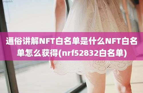 通俗讲解NFT白名单是什么NFT白名单怎么获得(nrf52832白名单)