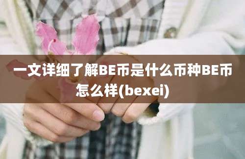 一文详细了解BE币是什么币种BE币怎么样(bexei)