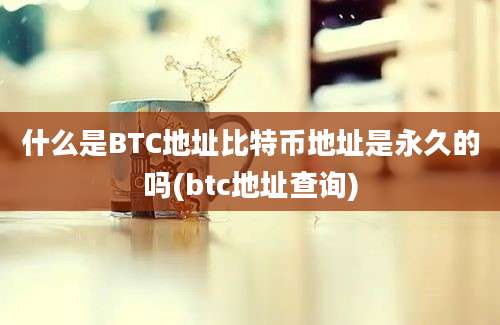 什么是BTC地址比特币地址是永久的吗(btc地址查询)