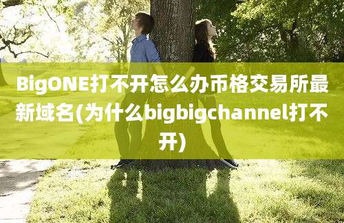 BigONE打不开怎么办币格交易所最新域名(为什么bigbigchannel打不开)