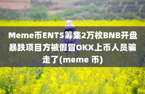 Meme币ENTS筹集2万枚BNB开盘暴跌项目方被假冒OKX上币人员骗走了(meme 币)