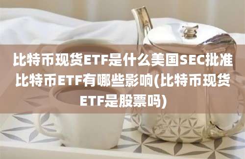 比特币现货ETF是什么美国SEC批准比特币ETF有哪些影响(比特币现货ETF是股票吗)