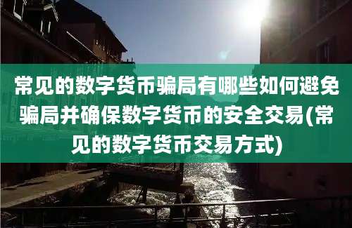 常见的数字货币骗局有哪些如何避免骗局并确保数字货币的安全交易(常见的数字货币交易方式)