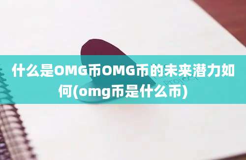 什么是OMG币OMG币的未来潜力如何(omg币是什么币)