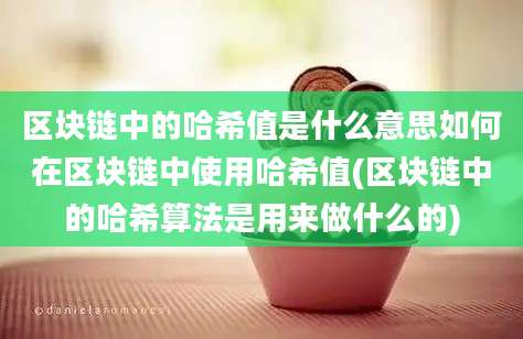 区块链中的哈希值是什么意思如何在区块链中使用哈希值(区块链中的哈希算法是用来做什么的)