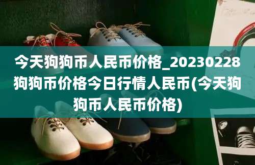 今天狗狗币人民币价格_20230228狗狗币价格今日行情人民币(今天狗狗币人民币价格)