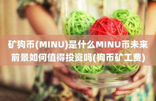 矿狗币(MINU)是什么MINU币未来前景如何值得投资吗(狗币矿工费)