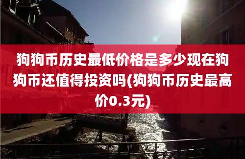 狗狗币历史最低价格是多少现在狗狗币还值得投资吗(狗狗币历史最高价0.3元)