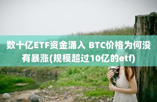 数十亿ETF资金涌入 BTC价格为何没有暴涨(规模超过10亿的etf)