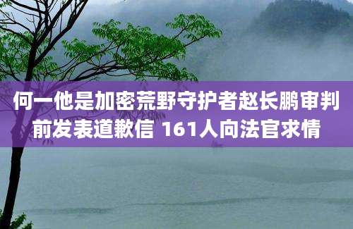 何一他是加密荒野守护者赵长鹏审判前发表道歉信 161人向法官求情