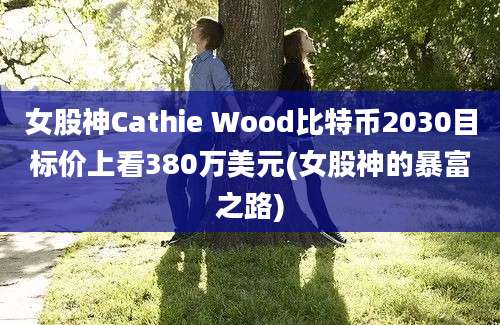 女股神Cathie Wood比特币2030目标价上看380万美元(女股神的暴富之路)