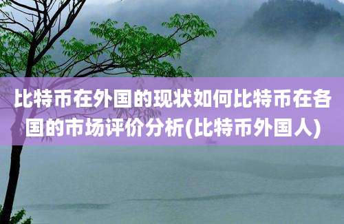 比特币在外国的现状如何比特币在各国的市场评价分析(比特币外国人)