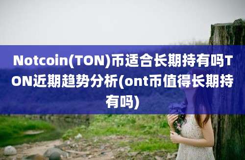 Notcoin(TON)币适合长期持有吗TON近期趋势分析(ont币值得长期持有吗)