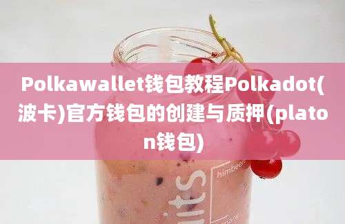 Polkawallet钱包教程Polkadot(波卡)官方钱包的创建与质押(platon钱包)