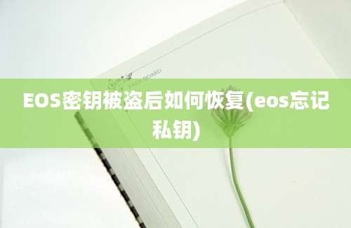 EOS密钥被盗后如何恢复(eos忘记私钥)