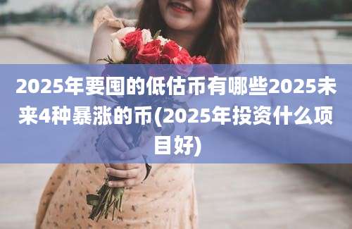 2025年要囤的低估币有哪些2025未来4种暴涨的币(2025年投资什么项目好)