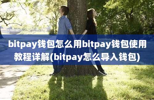 bitpay钱包怎么用bitpay钱包使用教程详解(bitpay怎么导入钱包)