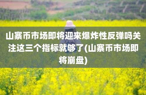 山寨币市场即将迎来爆炸性反弹吗关注这三个指标就够了(山寨币市场即将崩盘)