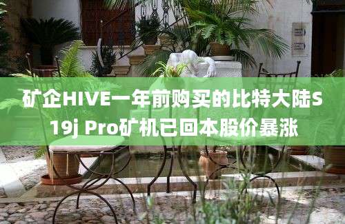 矿企HIVE一年前购买的比特大陆S19j Pro矿机已回本股价暴涨