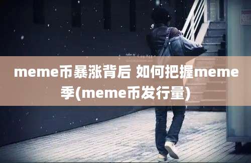 meme币暴涨背后 如何把握meme季(meme币发行量)