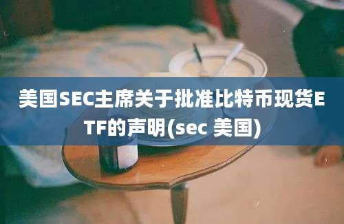 美国SEC主席关于批准比特币现货ETF的声明(sec 美国)