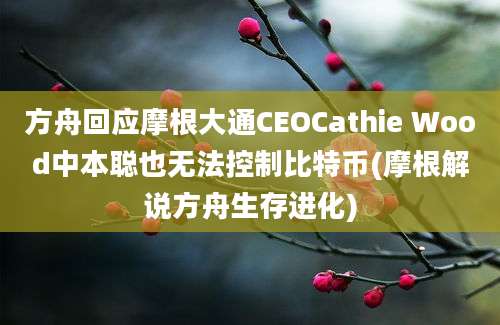 方舟回应摩根大通CEOCathie Wood中本聪也无法控制比特币(摩根解说方舟生存进化)