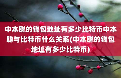 中本聪的钱包地址有多少比特币中本聪与比特币什么关系(中本聪的钱包地址有多少比特币)