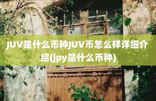 JUV是什么币种JUV币怎么样详细介绍(jpy是什么币种)