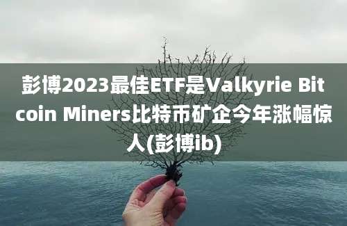 彭博2023最佳ETF是Valkyrie Bitcoin Miners比特币矿企今年涨幅惊人(彭博ib)