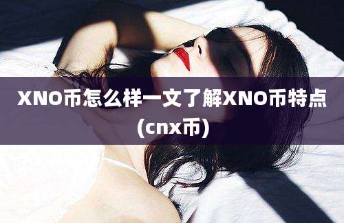 XNO币怎么样一文了解XNO币特点(cnx币)