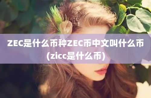 ZEC是什么币种ZEC币中文叫什么币(zicc是什么币)