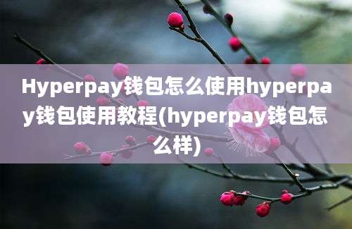 Hyperpay钱包怎么使用hyperpay钱包使用教程(hyperpay钱包怎么样)