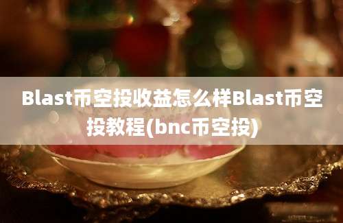 Blast币空投收益怎么样Blast币空投教程(bnc币空投)