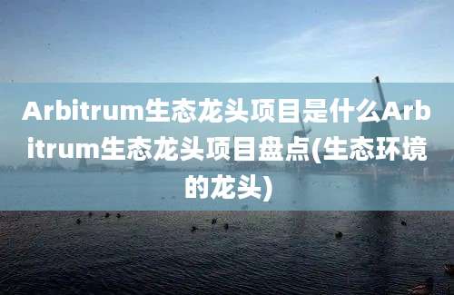 Arbitrum生态龙头项目是什么Arbitrum生态龙头项目盘点(生态环境的龙头)