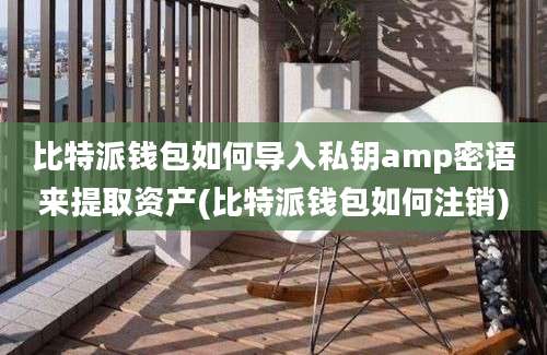 比特派钱包如何导入私钥amp密语来提取资产(比特派钱包如何注销)