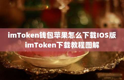 imToken钱包苹果怎么下载IOS版imToken下载教程图解