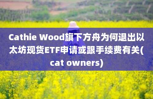 Cathie Wood旗下方舟为何退出以太坊现货ETF申请或跟手续费有关(cat owners)