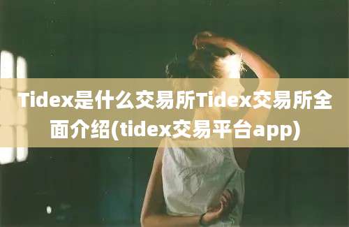 Tidex是什么交易所Tidex交易所全面介绍(tidex交易平台app)