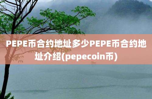 PEPE币合约地址多少PEPE币合约地址介绍(pepecoin币)